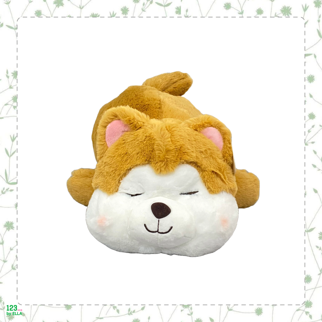 Index of /wp-content/uploads/2023/12